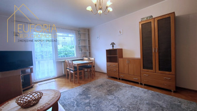 Mieszkanie Wynajem Łódź Polesie Sandomierska